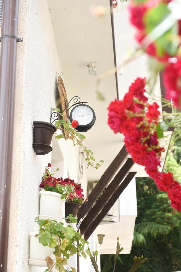 Eke Irin Apartments Ohrid Eksteriør bilde